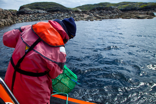 Pescando langostas y cangrejos con nasas. Great Bernera. Lewis island. Outer Hebrides. Scotland, UK