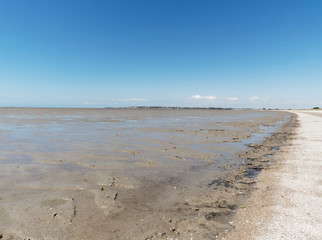La réserve naturelle nationale du marais d'Yves en Charente-Maritime, Nouvelle-Aquitaine