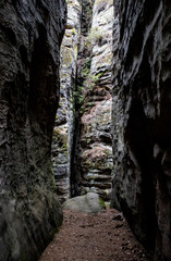 Prachovské skály, rock city a unique attraction of Europe and the Czech Republic