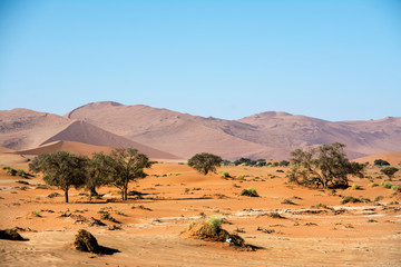 road trip namibia game farm and namib desert