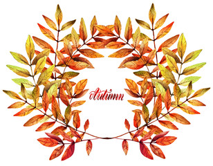 Watercolor illustration. Autumn, leaves of mountain ash, set. Postcard for you. Background white. handmade