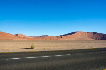 road trip namibia game farm and namib desert