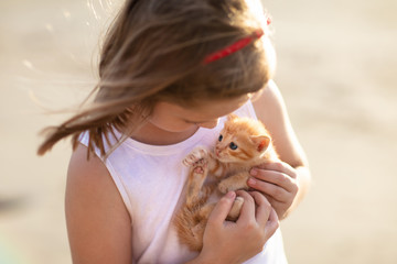 Little girl holding baby cat. Kids and pets