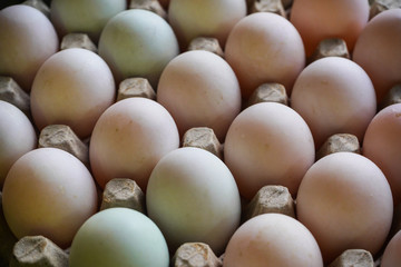 Fresh eggs in egg tray