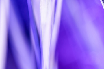 backband stripes in blue and white colors