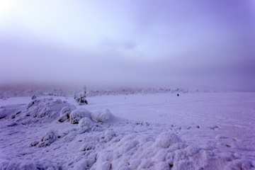 Frozen landscape during polar night in Saariselka