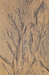 Diseños de arena (Sand Patterns). Playa Dail Beag Beach. Lewis Island. Outer Hebrides. Scotland, UK