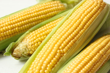 Fresh corn on a light background. Corn heads.