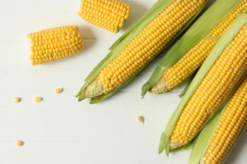 Fresh corn on a light background. Corn heads.