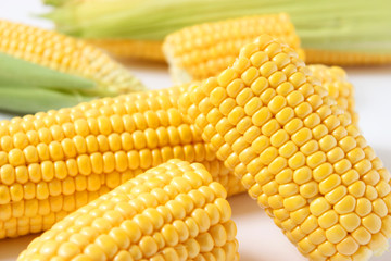 Fresh corn on a light background. Corn heads.