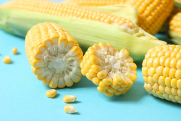 Fresh corn on a colored background. Corn heads.