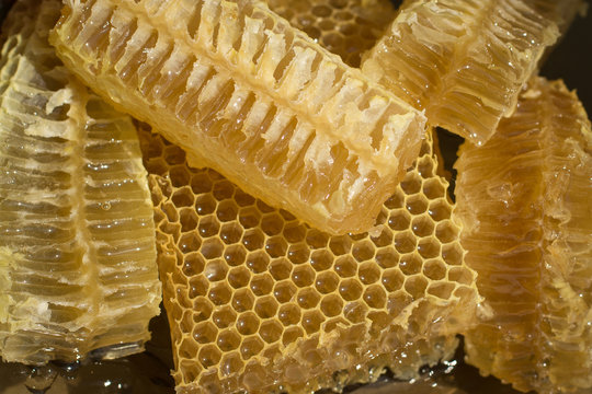 fresh honeycomb pieces on a plate