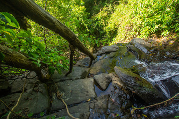 Ton Aow Yon Waterfall rich natural resources,in the forest,asia tropical areaat Island Phuket Thailand.