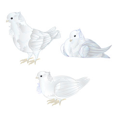 Ornamental white doves cute small birds set   on a white background  vintage vector illustration editable Hand draw