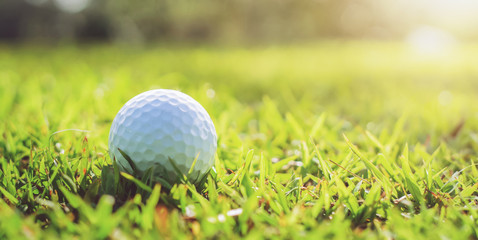 golf ball on green grass with sunlight
