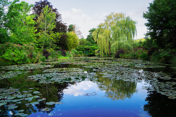 Pond with lilies in Giverny