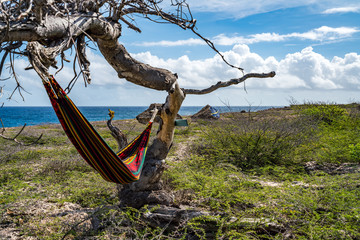  Wataluma  Views around the Caribbean island of Curacao