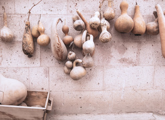 Dried bottle gourds, calabashes hanging on the stone wall