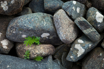 Playa de Scarista Beach. Sound of Taransay. South Harris Island. Outer Hebrides. Scotland, UK