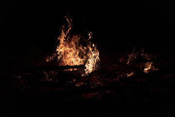 Camp Fire Christmas in July Tree Burning