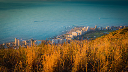 Looking past the golden grass at the coastline of Cape Town, South Africa at sunset