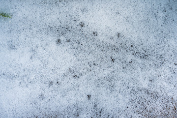 Bubbles foam white washing shower