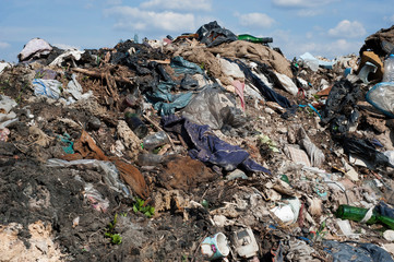 Scum on the city landfill. Waste for recycling