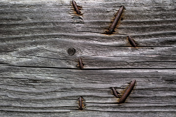 Old Rusty Nails in Cabin Board