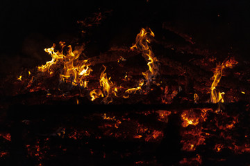 Camp Fire Christmas in July Tree Burning