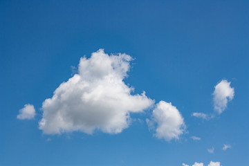 landscape of summer high blue sky, background image