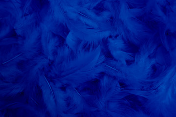dark blue feather background
