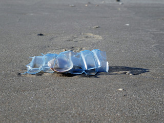 angeschwemmte Plastikflasche am Strand