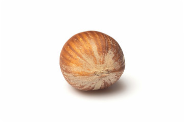 Hazelnut. Fresh organic filbert isolated on white background. Nut macro. Collection.