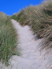 Strandweg durch die Dünen