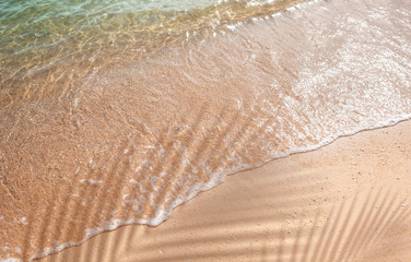 Selective focus of summer and holiday backgrounds concepts with shadow of coconut leaf on clean sand beach