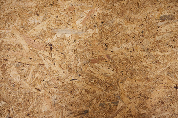  Natural color wood texture, to use as organic backgrounds.