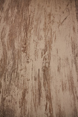  Natural color wood texture, to use as organic backgrounds.