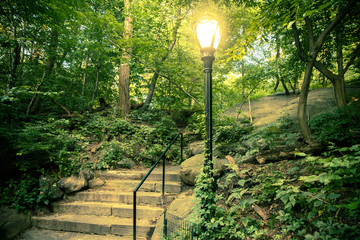 Beautiful landscape from Central Park, New York City with steps and lamp post
