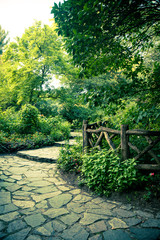 Beautiful landscape from Central Park, New York City with steps and path