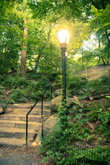 Beautiful landscape from Central Park, New York City with steps and lamp post