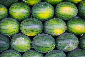  The season of watermelon, watermelon day. Texture, background