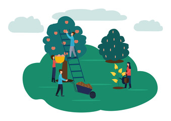 Agricultural work, watering flowers, harvesting the harvest of apples .Vector illustration in flat style.