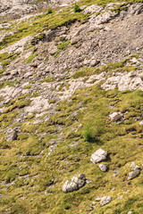 Scenery landscape with green moss on rocky mountain