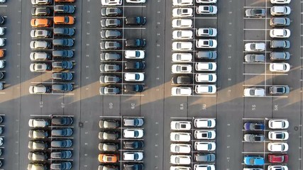 large storage area of different coloured automobiles - Powered by Adobe