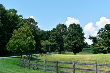 Fenced Meadow Landscape