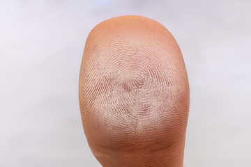 Fototapeta premium electric biometric fingerprint scan, macro shot, future technology