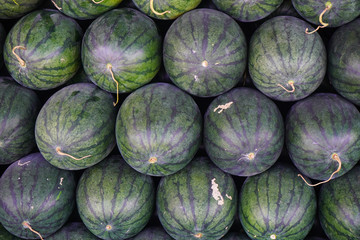  The season of watermelon, watermelon day. Texture, background