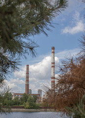coniferous tree branch factory pipes in the city pollute the air near the water and trees in the summer