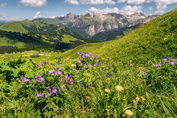 Fototapeta na wymiar Scenery Alps with green mountain under sky