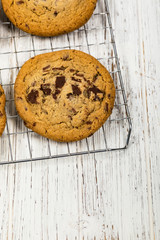 Chocolate Chip Cookies. Selective focus.